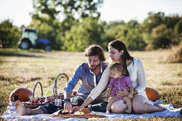 Family eating fruits at picnic on sunny day - CAVF01288