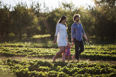 Glückliche Familie beim Spaziergang auf einem Feld in einem Bauernhof - CAVF01291