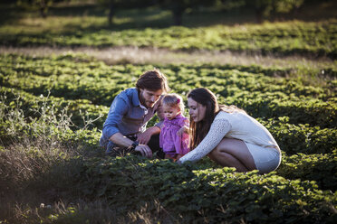 Family examining leaves in farm on sunny day - CAVF01293