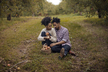 Couple sitting on field at apple orchard - CAVF01333