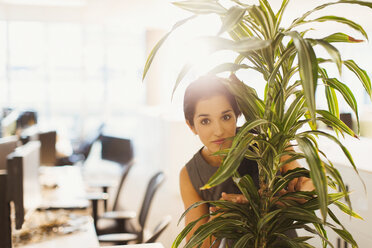 Portrait of businesswoman hiding behind plant in office - CAIF06691