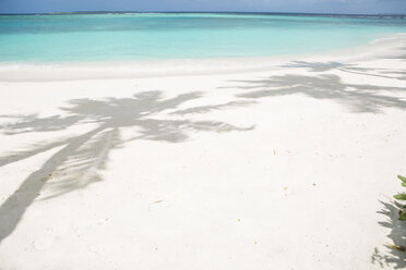 Dream beach with shadows of palms on the Maldives - ZEF15176