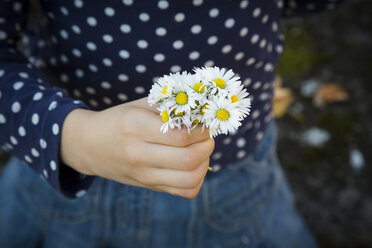 Little girl holding bunch of daisies in her hand, close-up - LVF06767