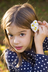 Portrait of little girl wearing daisies - LVF06768