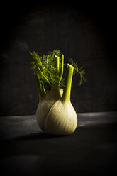 Fennel corm - MAEF12539