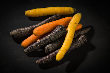 Various sorts of carrots on dark ground - MAEF12541