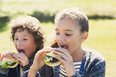 Bruder und Schwester essen draußen Hamburger - CAIF07577