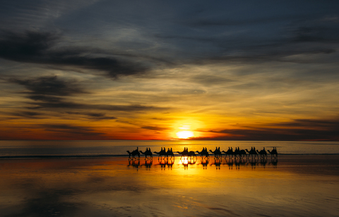 Silhouette von Menschen auf Kamelen bei Sonnenuntergang, Broome, Australien, lizenzfreies Stockfoto
