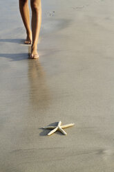 Low section of woman standing by starfish at shore - CAVF01382