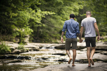 Rückansicht eines homosexuellen Paares, das sich beim Spaziergang im Wald an den Händen hält - CAVF01653