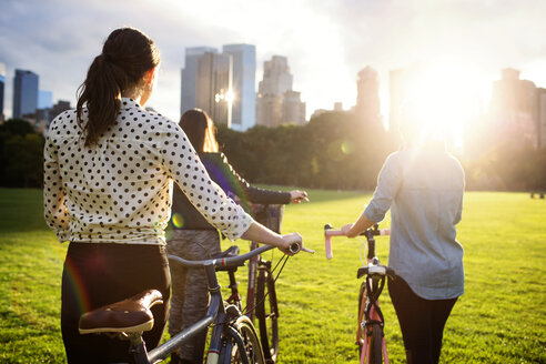 Rückansicht Freunde, die mit Fahrrädern auf einem Feld im Central Park spazieren gehen - CAVF01733