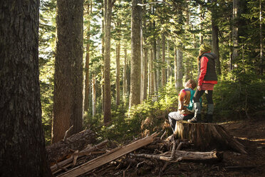 Mann sitzend und Frau stehend auf Baumstamm im Wald - CAVF01793