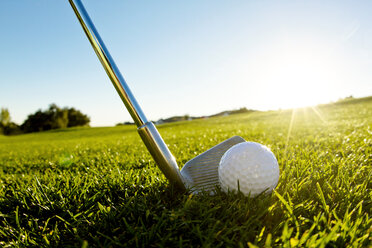 Golfschläger mit Ball auf grasbewachsenem Feld - CAVF01901