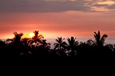 Scenic view of silhouette trees during sunset - CAVF01935