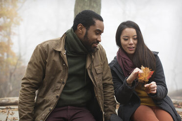 Woman showing maple leaf to man while sitting in forest - CAVF03458