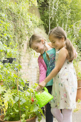 Mädchen gießen Pflanzen im Garten - CAIF08923