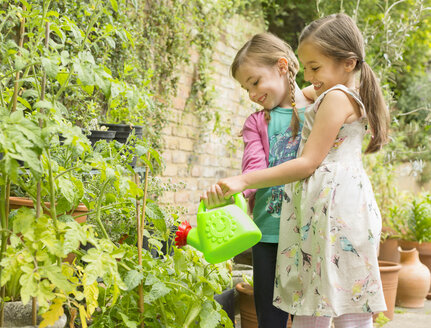 Umarmende Mädchen, die Pflanzen im Garten gießen - CAIF08937