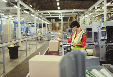Arbeiter bei der Kontrolle von Kartons am Fließband in einer Fabrik - CAIF09053