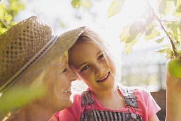 Portrait smiling granddaughter with grandmother in sunny garden - CAIF09101