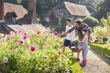 Family picking flowers in sunny garden - CAIF09106
