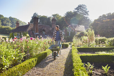 Man pushing wheelbarrow in sunny garden - CAIF09110