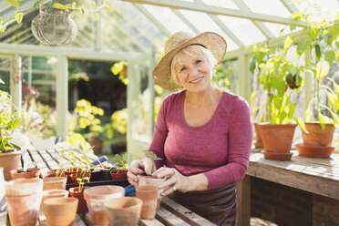 Portrait smiling senior woman potting plants in greenhouse - CAIF09135