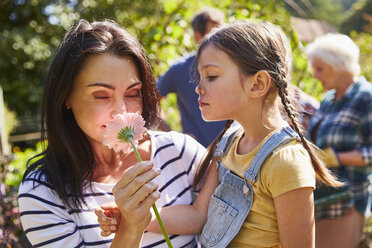 Mutter und Tochter riechen an einer frischen rosa Blume im sonnigen Garten - CAIF09139