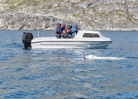 Grönland, Sermersooq, Kulusuk, Ikateq Fjord, Menschen auf Boot beobachten Eisbären, lizenzfreies Stockfoto