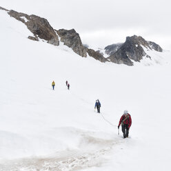 Greenland, Sermersooq, Kulusuk, Schweizerland Alps, group of people walking in snow - ALRF00956