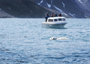 Grönland, Sermersooq, Kulusuk, Ikateq Fjord, Menschen auf Boot beobachten Eisbären - ALRF00957
