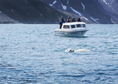 Greenland, Sermersooq, Kulusuk, Ikateq Fjord, people on boat watching polar bear - ALRF00957