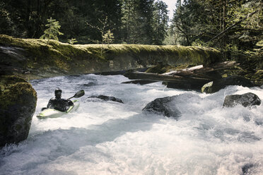 Mann fährt Kajak auf einem Fluss im Wald - CAVF04344