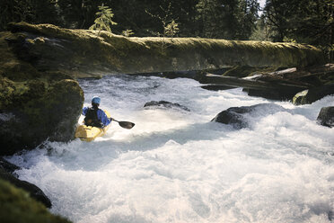 Mann paddelt im Fluss unter umgestürztem Baumstamm - CAVF04347