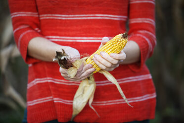 Midsection of woman peeling corn in farm - CAVF04431