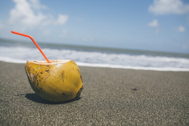Kuba, Kokosnuss mit Strohhalm am Strand - GUSF00554
