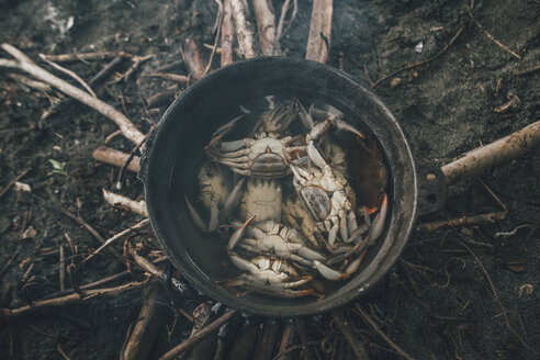 Krabben in einem Topf mit Wasser gefangen - GUSF00557