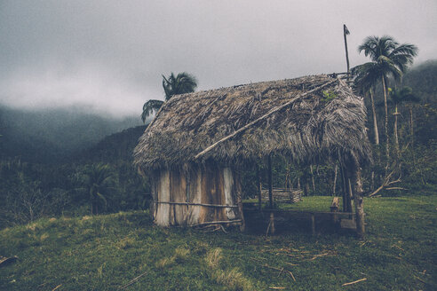 Kuba, Hütte im Alejandro de Humboldt-Nationalpark - GUSF00562