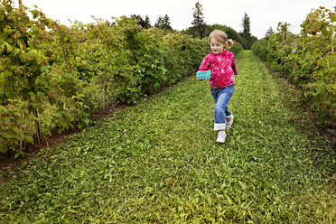 Girl holding fruit basket running on field in farm - CAVF04819