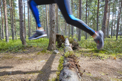 Läufer springt über einen umgefallenen Baumstamm auf einem Waldweg, lizenzfreies Stockfoto