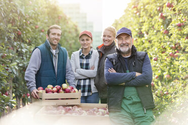 Portrait smiling farmers harvesting apples in orchard - CAIF09945