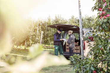 Landwirt und Kunde auf dem Rücksitz eines Lieferwagens in einer Apfelplantage - CAIF09946