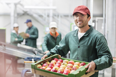 Porträt eines lächelnden Arbeiters, der eine Kiste mit Äpfeln in einem Lebensmittelverarbeitungsbetrieb hält - CAIF09955