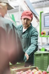 Workers examining apples in food processing plant - CAIF09964