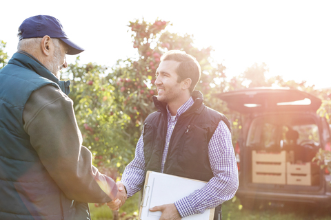 Männlicher Landwirt und Kunde schütteln sich in einer sonnigen Apfelplantage die Hände, lizenzfreies Stockfoto