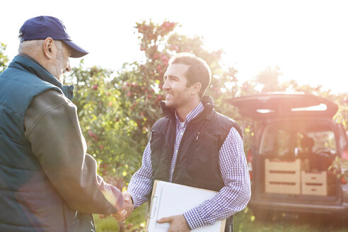 Male farmer and customer handshaking in sunny apple orchard - CAIF09965