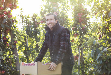 Portrait smiling male farmer harvesting apples in food processing plant - CAIF09967