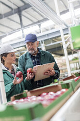 Manager with clipboard and worker examining red apples in food processing plant - CAIF09968