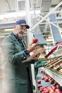 Manager mit Klemmbrett bei der Kontrolle von roten Äpfeln in einem Lebensmittelverarbeitungsbetrieb - CAIF09974