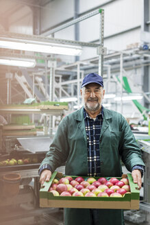 Porträt eines lächelnden Arbeiters, der eine Kiste mit Äpfeln in einem Lebensmittelverarbeitungsbetrieb trägt - CAIF09978