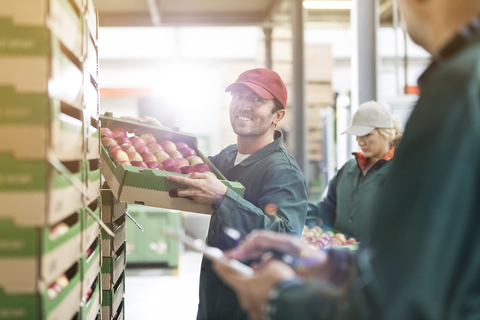 Lächelnder männlicher Arbeiter, der eine Kiste mit Äpfeln in einem Lebensmittelverarbeitungsbetrieb trägt, lizenzfreies Stockfoto